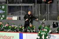 Le Desjardins-Wild de Windsor en quête d'excellence : entrevue avec l'entraîneur Denis Roy